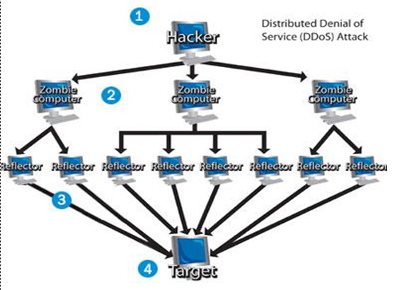 Ddos своими руками фото 27