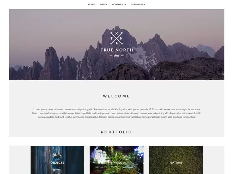 template wordpress gratis