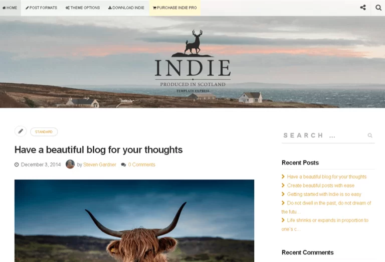 template wordpress gratis