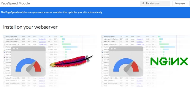 Google PageSpeed Module : Meningkatkan Kecepatan Website dan ...
