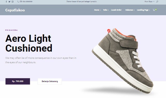 Theme Toko Online