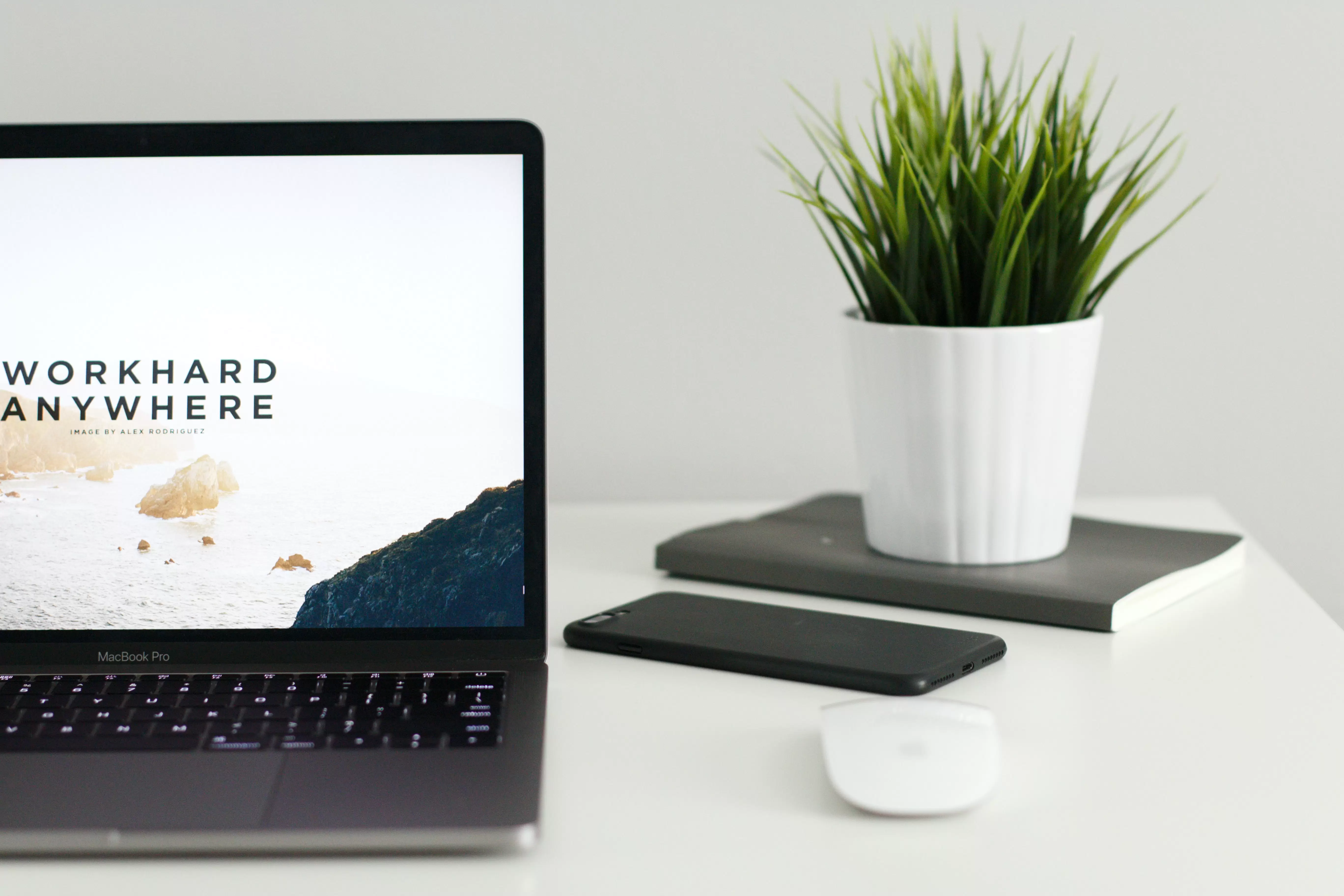 profesi web programmer