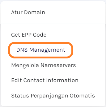 Menu DNS Management