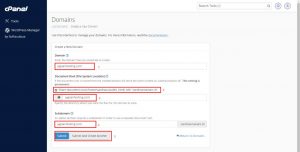 Tampilan Settings Domain Di cPanel