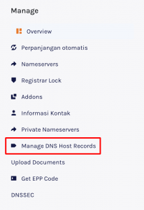 Menu Manage DNS Host Records