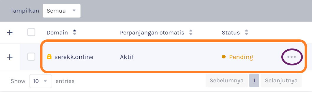 Tampilan Ikon 3 Titik Di List Domain