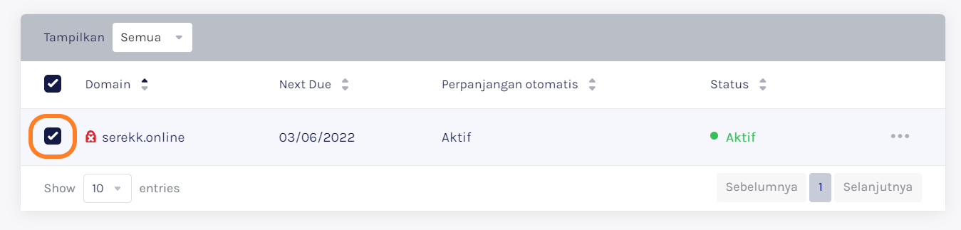 Tampilan Kolom Centang Di List Domain