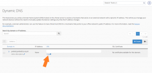 Tampilan Copy Link DDNS Di cPanel