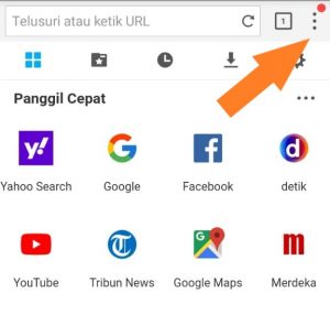 Tampilan Menu Settings Di Puffin Browser