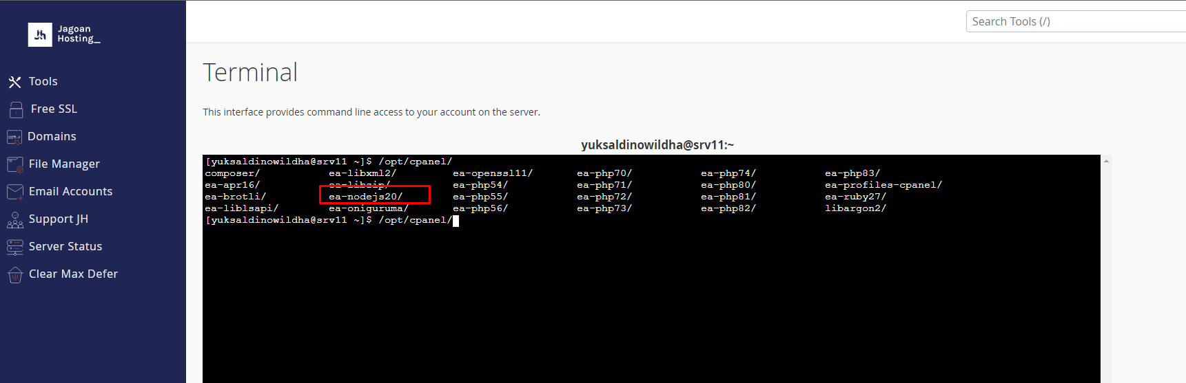 cek versi nodejs cek versi nodejs