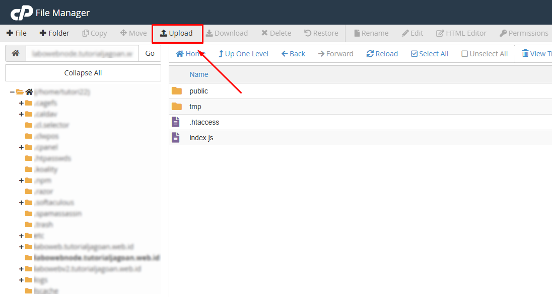 Cara Upload Project Node.js ke cPanel Hosting - Knowledge Base Jagoan ...