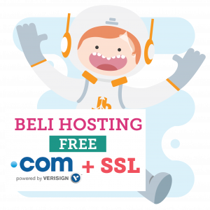 pengertian ssl domain banner 